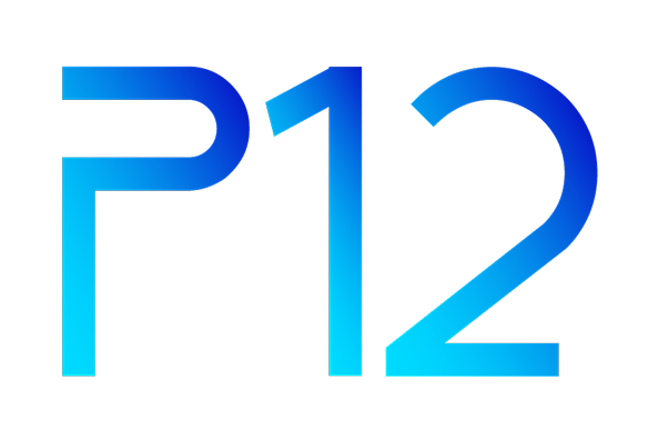 P12 Digital